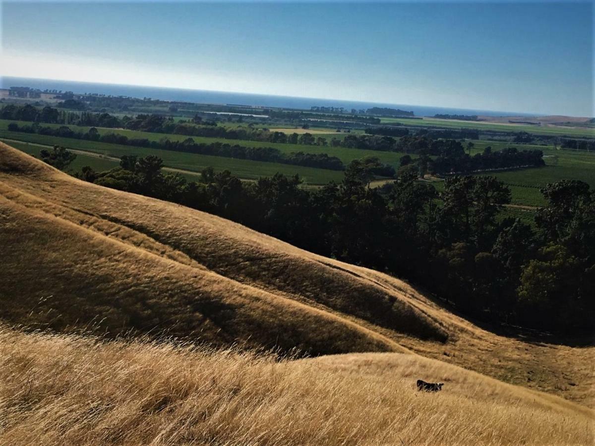 Hill Top Retreat Lower Dashwood エクステリア 写真
