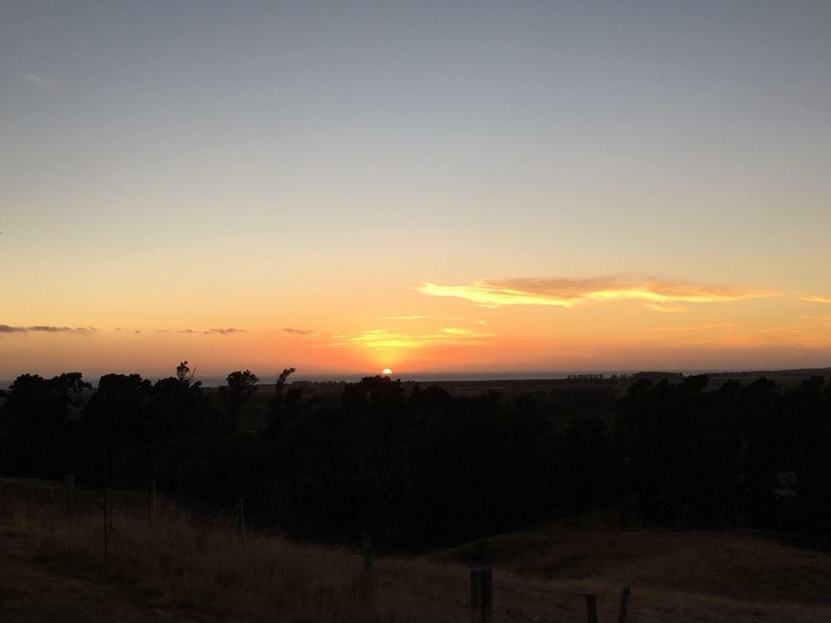 Hill Top Retreat Lower Dashwood エクステリア 写真